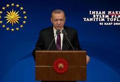 Cumhurbaşkanı Erdoğan, İnsan Hakları Eylem Planı'nı açıkladı