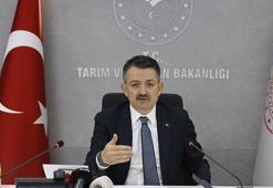 Bakan Pakdemirli: Yaklaşık 377 milyon liralık destek ödemelerine bugün başlıyoruz