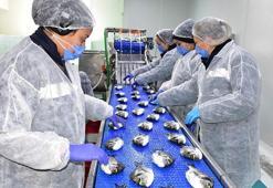 Avrupa pandemide Türkiye'den balık yedi