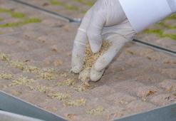 Diyarbakır'ın soğuk baklavası; siyaset, sanat ve spor dünyasının vazgeçilmezi