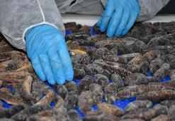 Türkler yemiyor, Çinliler ve Koreliler sofralarından eksik etmiyor