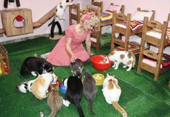 Mardinli Marilyn Monroe, kedi sığınma evi kurdu