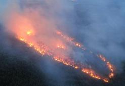 Muğla'da, 5'er dakika arayla ormanlık iki alanda yangın
