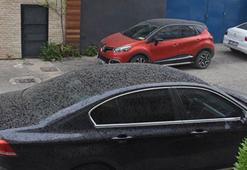 Prof. Dr. Yaşar'dan 'toz taşınımı' uyarısı: Pazara kadar bekliyoruz