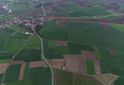 Bill Gates'in Trakya'dan arazi aldığı iddiası, fırsatçıları harekete geçirdi