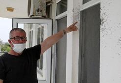 İftar vakti evlerine ateş açılan aile dehşeti yaşadı