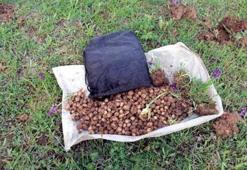 Salep soğanı toplayan 4 kişiye 321 bin TL ceza