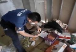 Esenyurt'ta metruk binadaki uyuşturucu partisine polis baskını