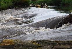 Marmara Denizi böyle kirleniyor