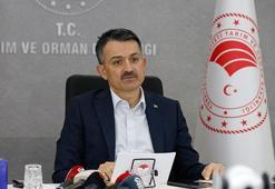 Bakan Pakdemirli: Su ürünleri ihracatımız 1 milyar 63 milyon dolara ulaştı