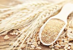 Türkiye’nin ilk tescilli siyez buğdayları üretilecek