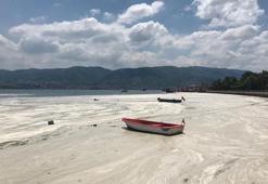 Müsilaj Komisyonu üyeleri belirlendi