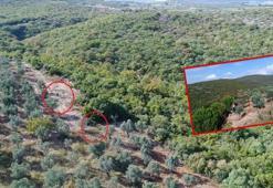 Kaçak avcılar dronla yakalandı