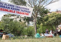 "Bu alanda kesim yasak" afişinin altında kaçak kesim