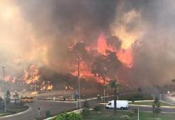 Wildfire at four different points in Manavgat