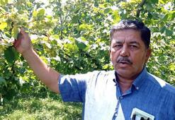 Düzce'ye gelen fındık işçileri koronavirüse karşı aşılanacak