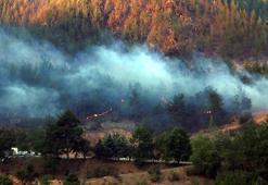 Adana’da 4 ilçedeki 6 noktada orman yangını sürüyor