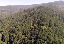 Valiliklerden peş peşe flaş kararlar! Girişler yasaklandı