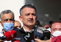 Pakdemirli: Havada ne kullandığınız değil, yere ne kadar su attığınız önemli