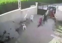 Konya'da 7 kişinin öldürüldüğü saldırıda 13 kişi gözaltına alındı