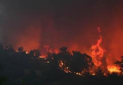 Manavgat'taki büyük yangın 7'nci gününde