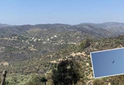 Milas'ta yangın 8'inci gününde; havadan müdahale yoğunlaştı