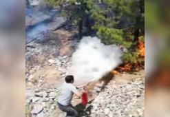 Train driver stopped the train and put out the wildfire