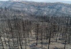 Yangının acı bilançosu: 60 bin hektar kül oldu, en az 1 milyar TL'lik maddi kayıp