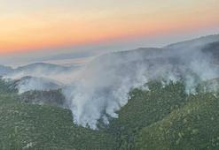 Milas'taki yangında 9'uncu gün