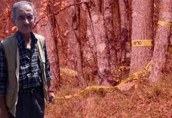 Kesik baş cinayetinde DNA örnekleriyle ilgili rapor bekleniyor