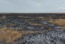 Sultan Sazlığı Milli Parkı'nda 3'üncü yangın; 10 saatte söndürüldü