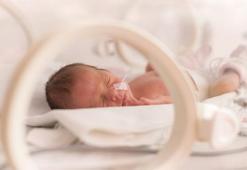 Prematüre retinopatisi; taranan her 4 bebekten 1’inde görülüyor