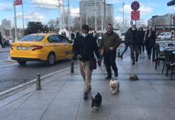 Walked at Taksim Square with a ferret on a leash; people were amazed