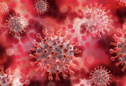 Eskişehir’de koronavirüs alarmı; etkinlikler iptal edildi