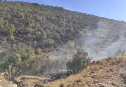 Batman'da 250 dönüm ağaçlık alan yandı