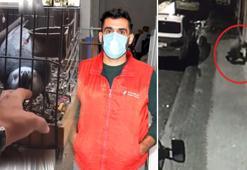 Yavruyken alıp büyüttüğü 'Paşa' adlı papağanı iş yerinden çalındı