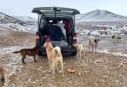 Karlı havada da 60 kilometre gidip, köpekleri besledi