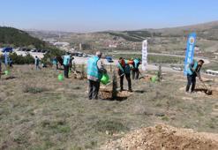 Adalet teşkilatı, 111 bin fidanı toprakla buluşturacak