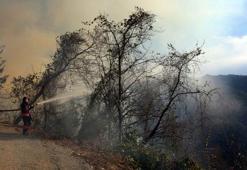 Trabzon'da 4 noktada orman yangını