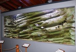 'Çanakkale Karina Deniz Kültürü Merkezi' açıldı