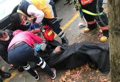 Kozalak toplamak için çıktığı ağaçta elektrik akımına kapılıp öldü