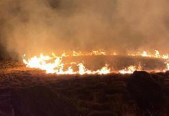 Bodrum'da otluk alanda çıkan yangın söndürüldü