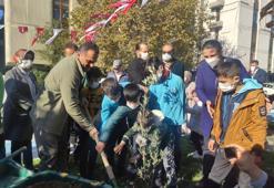 Beyoğlu'na yeni mahalle bahçesi; 2023 fidan toprakla buluşacak