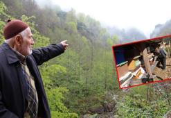 Bal ormanına taş ocağı için bilirkişi raporu: Ekolojik denge yok olur