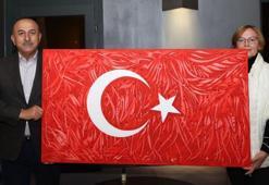 Ukraynalı ressamdan Bakan Çavuşoğlu’na resim hediyesi