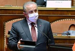 Şentop: Başka ülkelerde barış yoksa hiçbirimiz evimizde huzur bulamayız