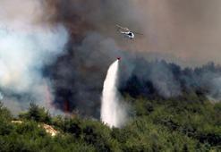 YPG/PKK'lı teröristten orman yangınlarıyla ilgili itiraf