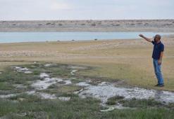 Kanalizasyon suları, baraj göletine akıyor