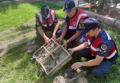 33 saka avına 43 bin lira ceza