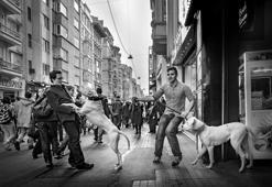 Fotosek’ten karma sergi; 70 fotoğrafçının siyah beyaz eserleri yer alıyor